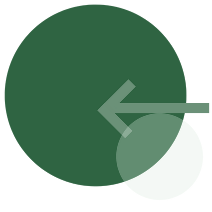 Bloom-Education-Group-Circles