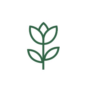 Bloom-Education-Group-Icon